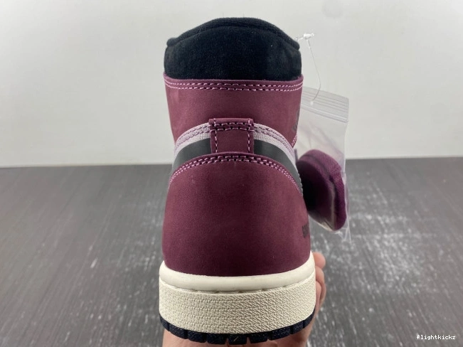 Jordan Gore-Tex Element 1 Air DB2889-500 0802